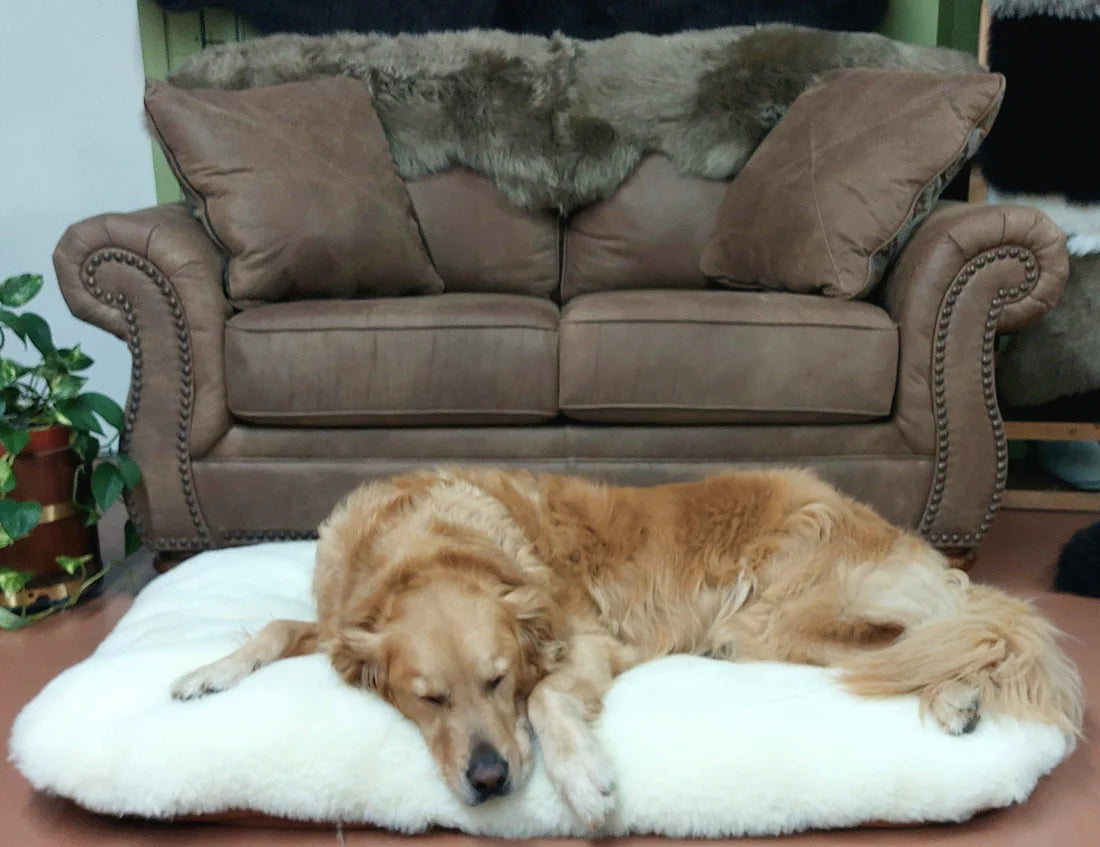 Soul Comfort Sheepskin - Sheep Wool Pet Beds